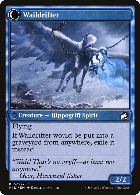 Galedrifter // Waildrifter – Achterkant