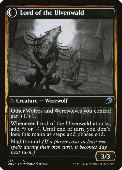 Kessig Naturalist // Lord of the Ulvenwald – Rückseite