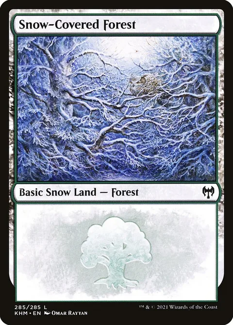 Snow-Covered Forest