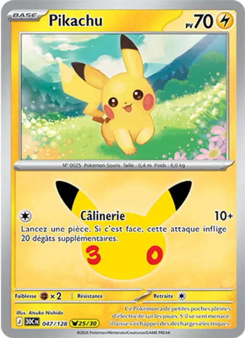 Pikachu [Play Rough]