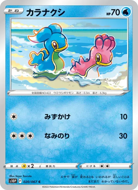 Shellos [Rain Splash | Surf]