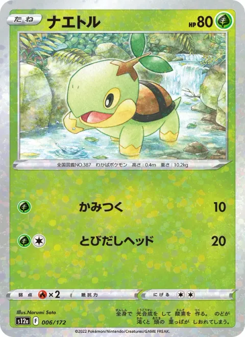 Turtwig [Bite | Headbutt Bounce]