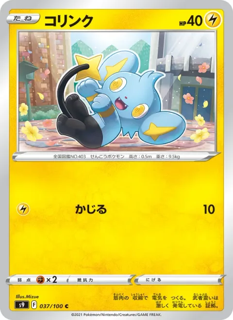 Shinx [Gnaw]