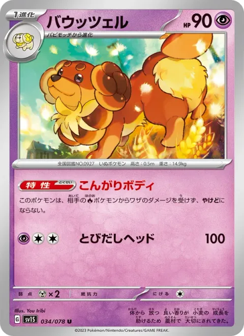 Dachsbun [Well-Baked Body | Headbutt Bounce]