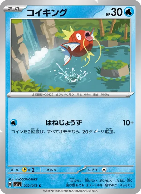 Magikarp [Expert Splasher]