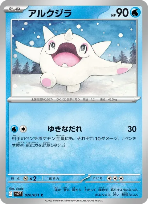 Cetoddle [Avalanche]
