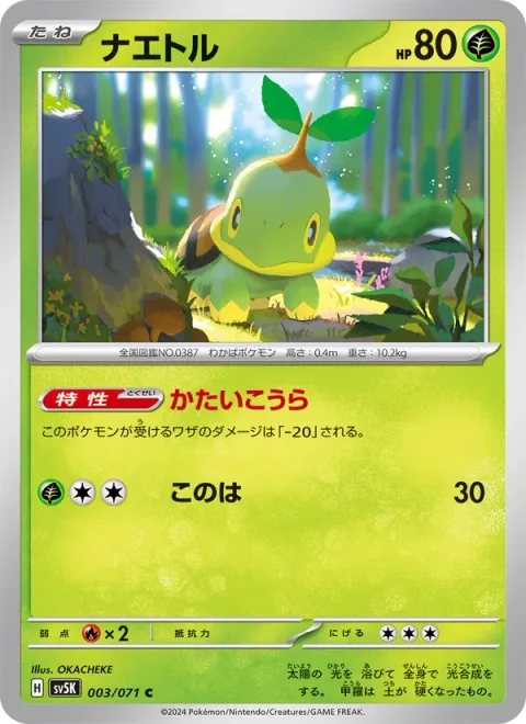 Turtwig [Solid Shell | Leafage]