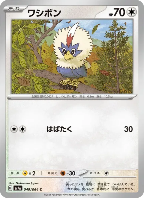 Rufflet [Flap]
