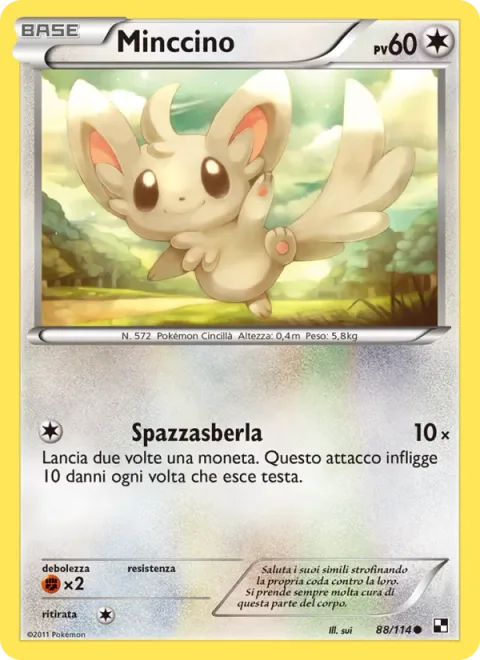 Minccino [Tail Slap]