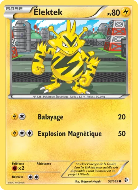 Electabuzz [Low Kick | Magnetic Blast]