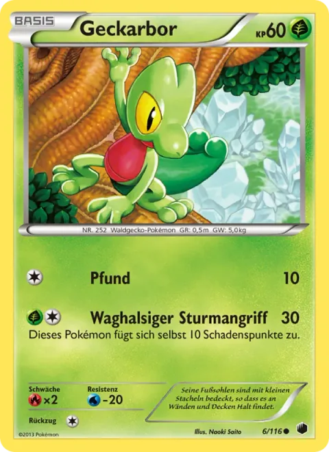 Treecko [Pound | Reckless Charge]