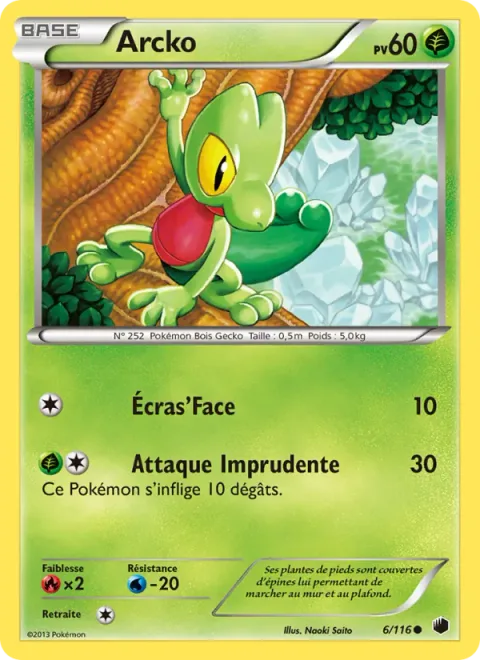 Treecko [Pound | Reckless Charge]