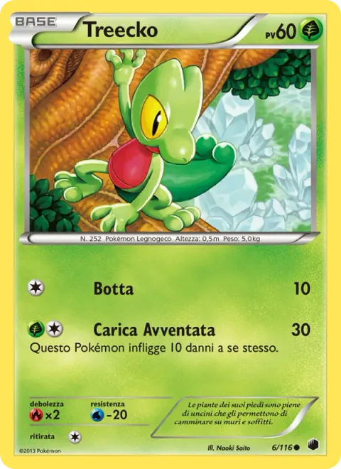 Treecko [Pound | Reckless Charge]