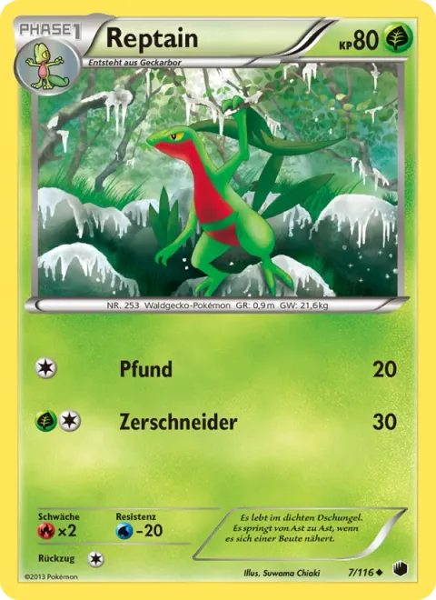 Grovyle [Pound | Cut]