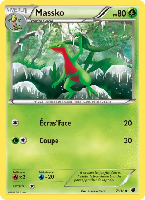 Grovyle [Pound | Cut]