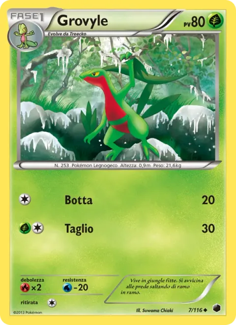 Grovyle [Pound | Cut]