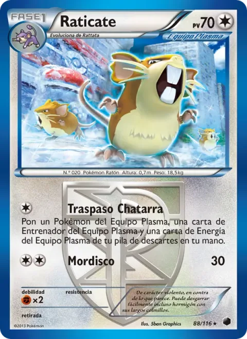 Raticate [Transfer Junk | Bite]