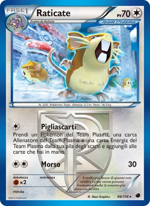 Raticate [Transfer Junk | Bite]