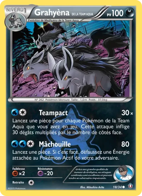 Team Aqua's Mightyena [Teampact | Crunch]