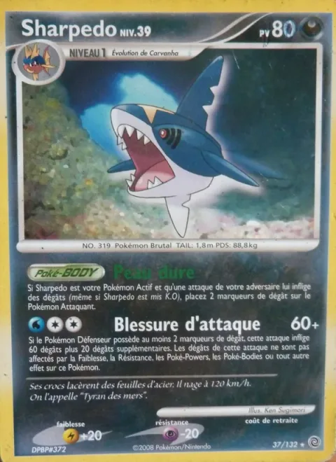 Sharpedo Lv.39 [Rough Skin | Strike Wound]