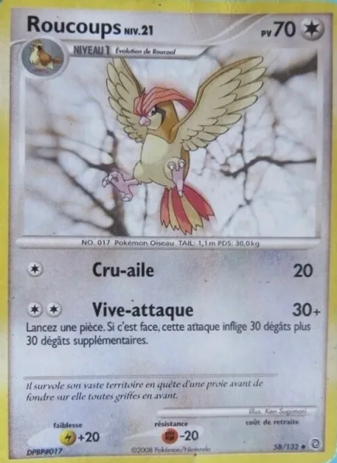 Pidgeotto Lv.21 [Wing Attack | Quick Attack]