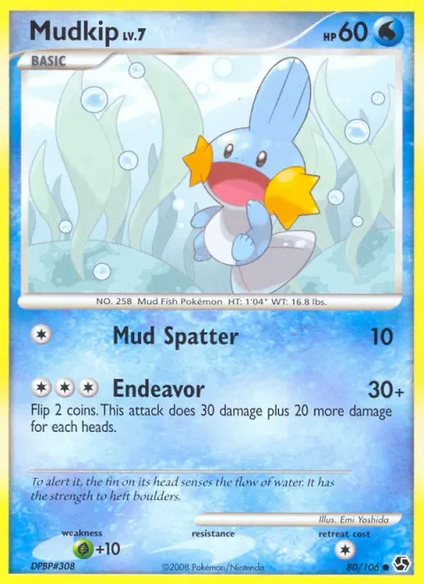 Mudkip Lv.7 [Mud Spatter | Endeavor]