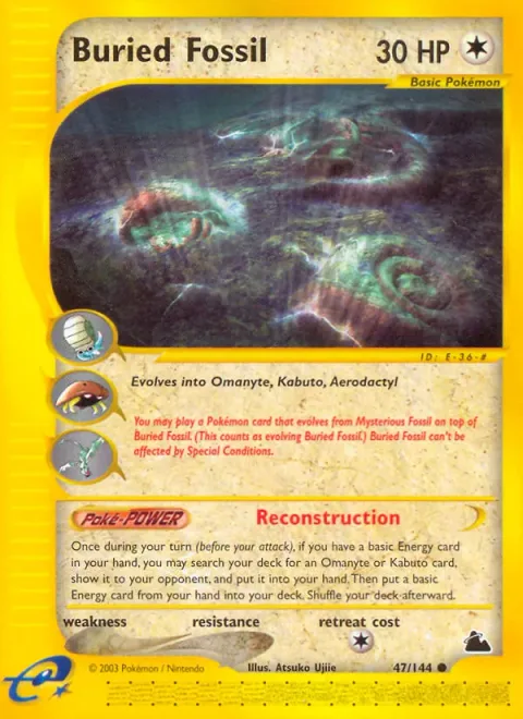 Buried Fossil [Reconstruction]