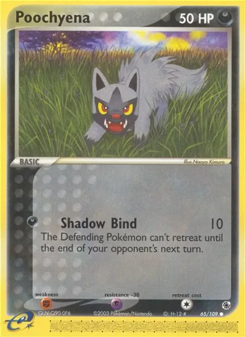 Poochyena [Shadow Bind]
