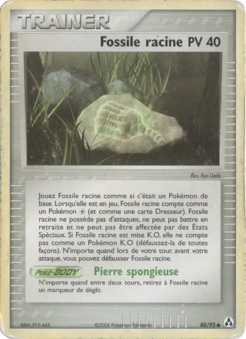 Root Fossil [Spongy Stone]