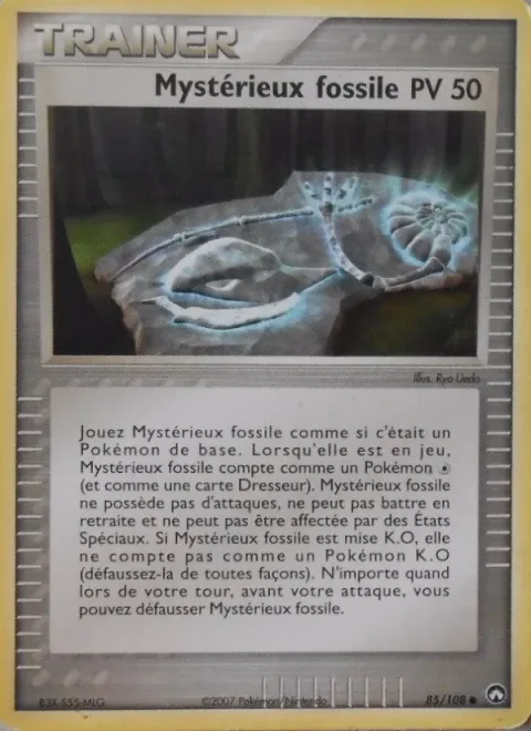 Mysterious Fossil