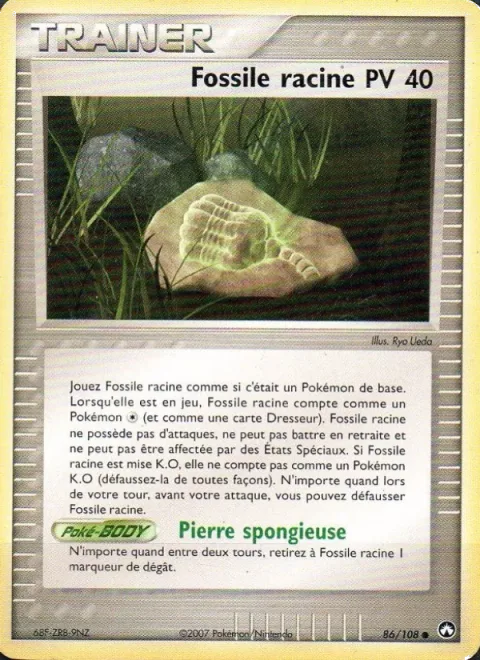 Root Fossil [Spongy Stone]