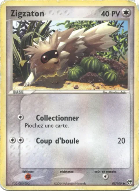 Zigzagoon [Collect | Headbutt]