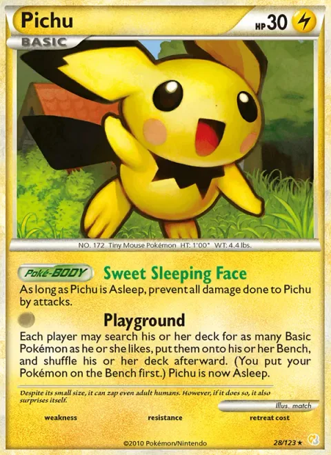 Pichu [Sweet Sleeping Face | Playground]