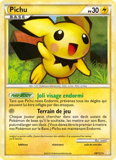 Pichu [Sweet Sleeping Face | Playground]