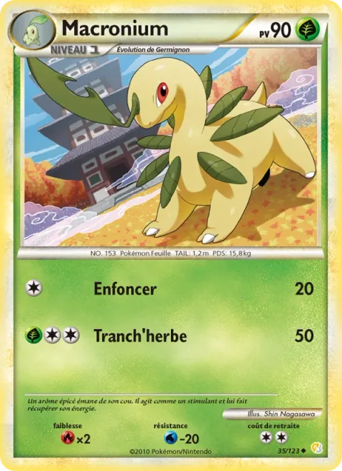 Bayleef [Hammer In | Razor Leaf]