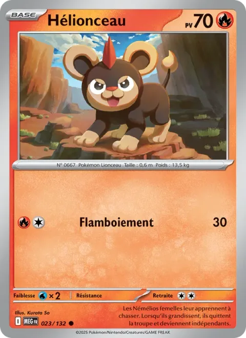 Litleo [Flare]