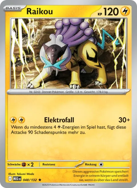 Raikou [Electro Fall]