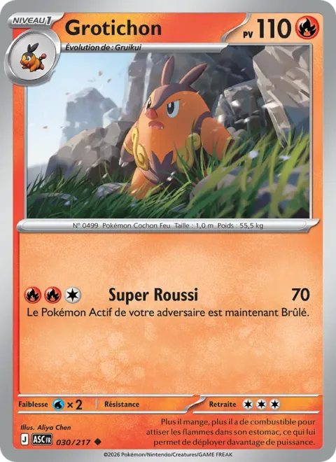 Pignite [Super Singe]