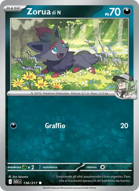 N's Zorua [Scratch]