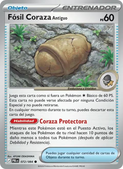 Antique Armor Fossil