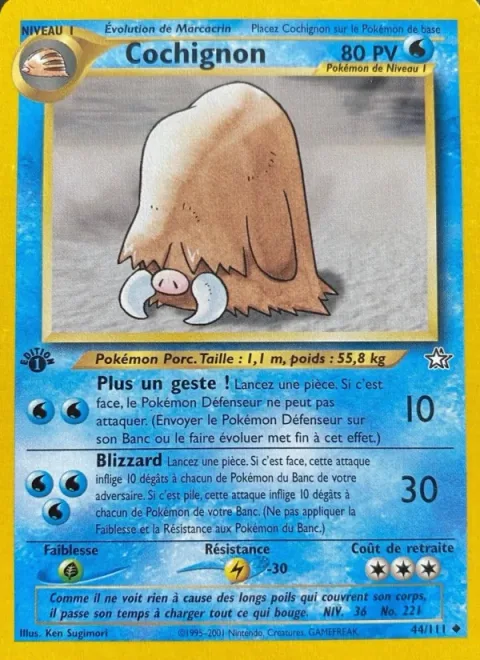 Piloswine [Freeze | Blizzard]