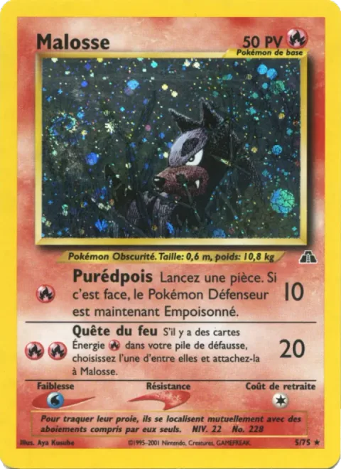 Houndour [Smog | Collect Fire]