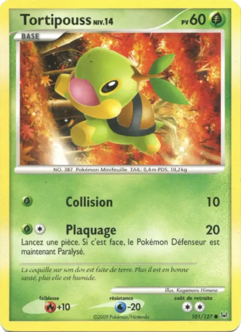 Turtwig Lv.14 [Ram | Body Slam]