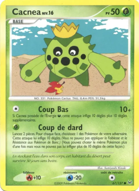 Cacnea Lv.16 [Sneaky Attack | Shoot Needle]