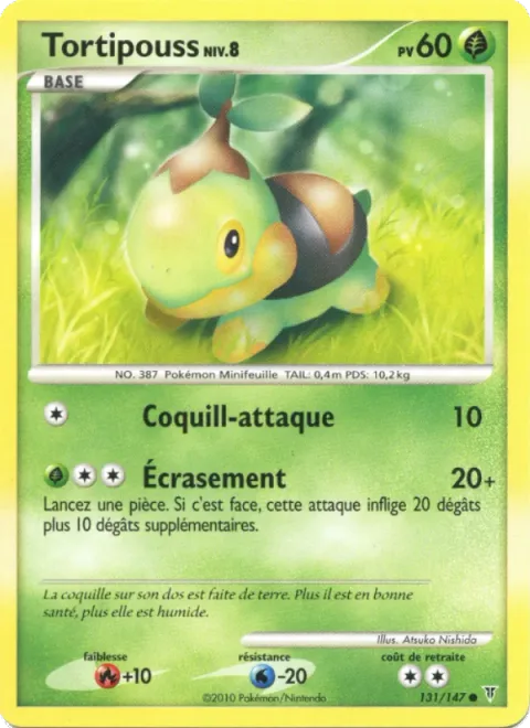 Turtwig Lv.8 [Shell Attack | Stomp]