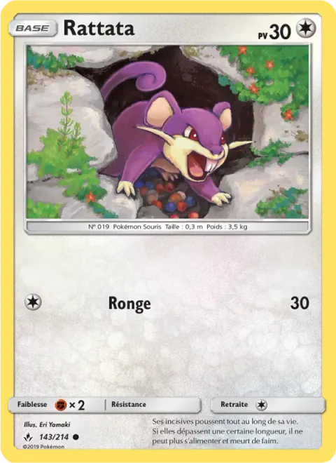 Rattata [Gnaw]