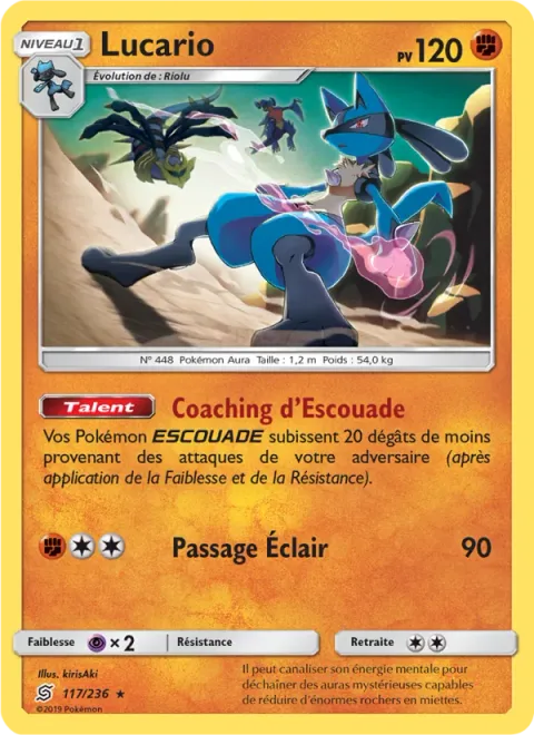 Lucario [Tag Coach | Mach Cross]