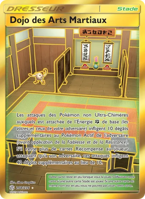 Martial Arts Dojo