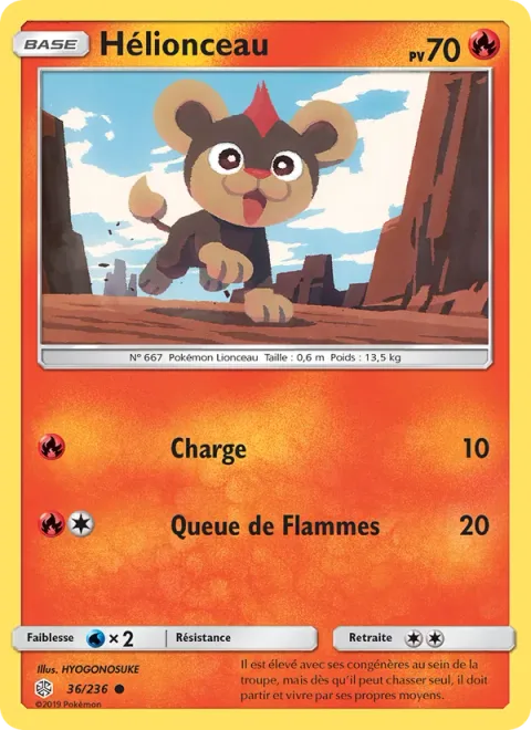 Litleo [Tackle | Flame Tail]