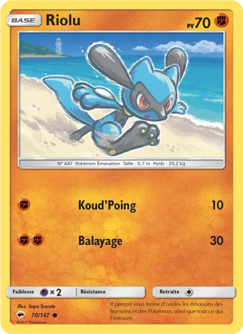 Riolu [Punch | Low Kick]
